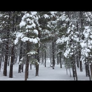 Meet your Posher, Yisel