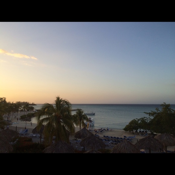 Meet your Posher, Alex - Picture 1 of 1