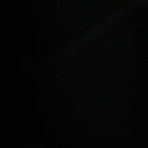 Meet your Posher, Bridget