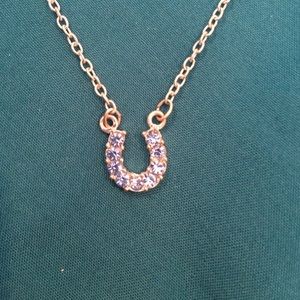 Blue crystal horseshoe necklace