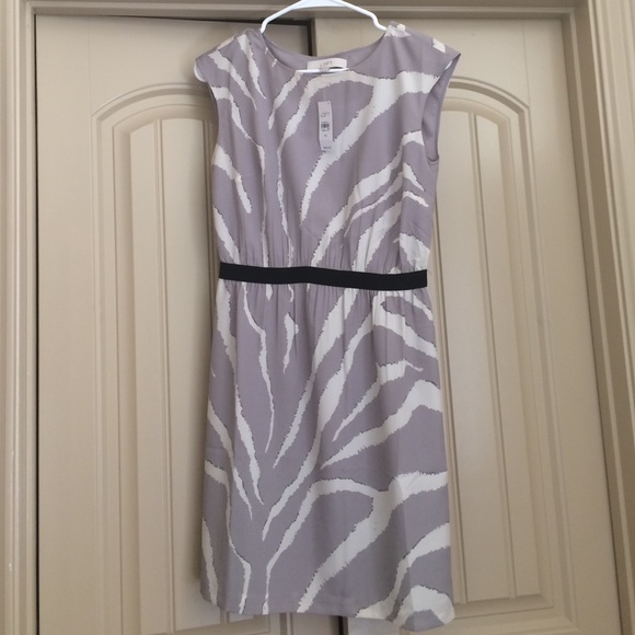 Ann Taylor LOFT dress