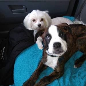 Meet your Posher, Kristen