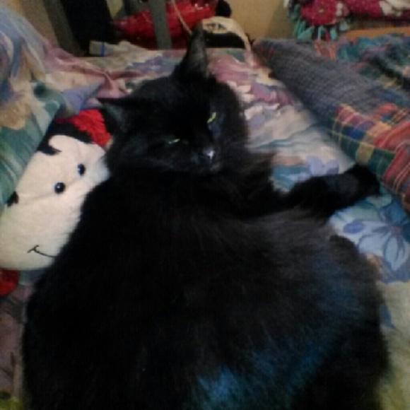 Meet your Posher, Jammie