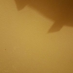 Meet your Posher, Rubi