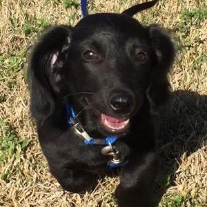 Meet your Posher, Denise