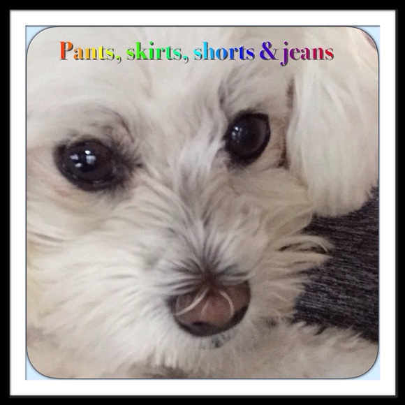 🎉PANTS SKIRTS SHORTS JEANS🎉 - Picture 1 of 1