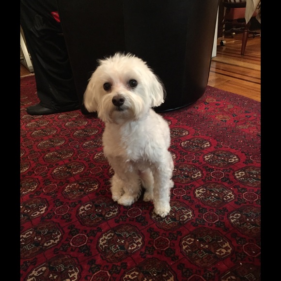 Meet your Posher, Maura - Picture 1 of 1