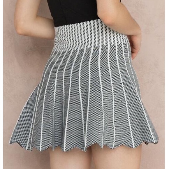 🔴SOLD🔴 Francesca's collections brand NEW skirt - Picture 3 of 4