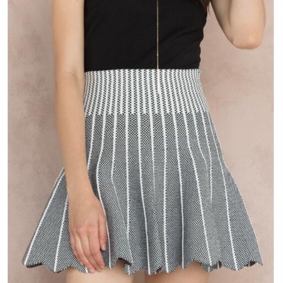 🔴SOLD🔴 Francesca's collections brand NEW skirt - Picture 4 of 4