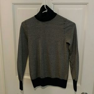 JCrew Striped Merino Wool Turtleneck
