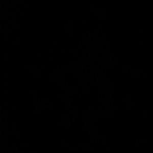 Meet your Posher, Ted