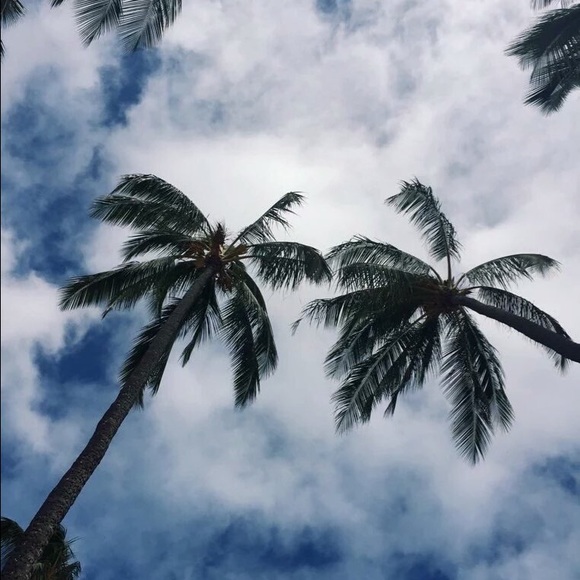 Meet your Posher, Josephine