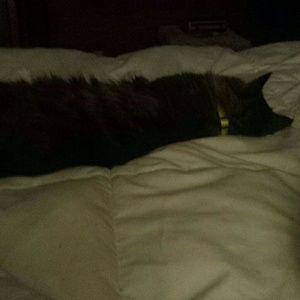 Meet your Posher, Mandy