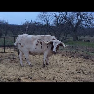 Meet your Posher, Kelli