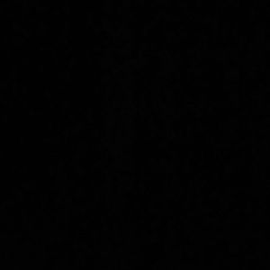 Meet your Posher, Randi