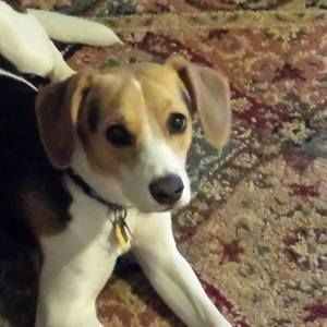 Meet your Posher, Becky