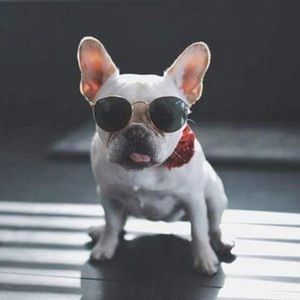 Meet your Posher, Brigitte