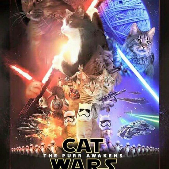 Meet your Posher, Kristin