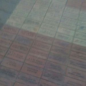 Meet your Posher, Jael