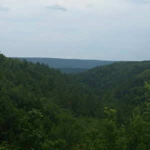 Meet your Posher, Janice