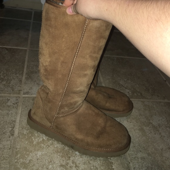 Tall Ugg Boots