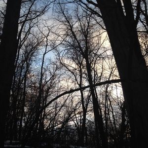 Meet your Posher, Alma