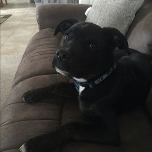 Meet your Posher, Tracy