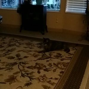 Meet your Posher, Evelyne