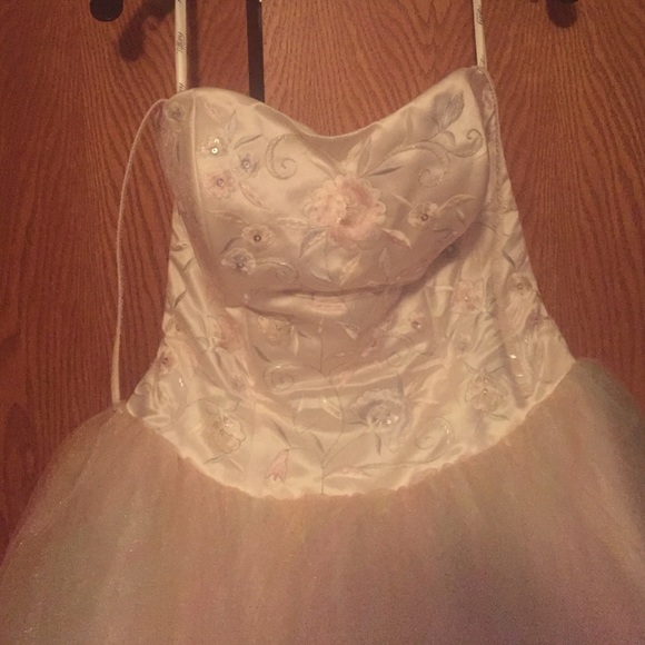 Pale Pink Princess Style Prom Dress - Picture 2 of 2