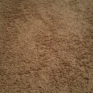 Meet your Posher, Nishanth