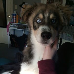 Meet your Posher, Janelle