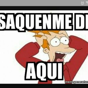 Meet your Posher, Yahaira