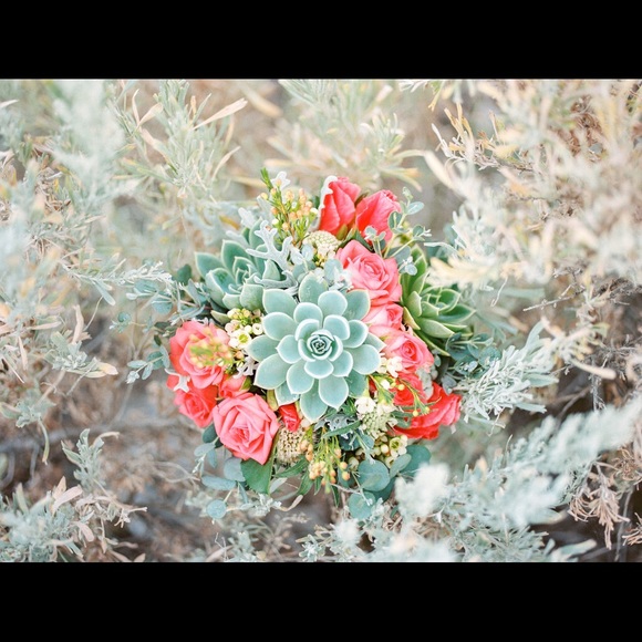 Meet your Posher, Megan - Picture 2 of 2