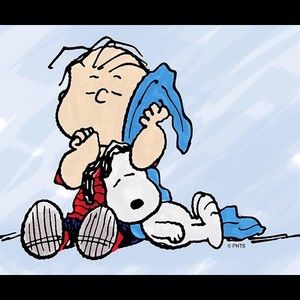 Meet your Posher, Carol