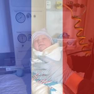 Meet your Posher, Anne