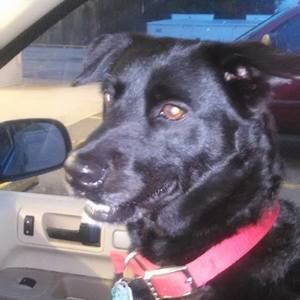 Meet your Posher, Chenelle