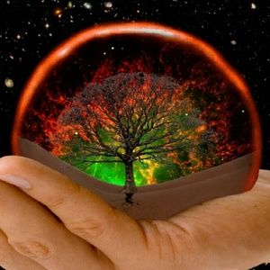 Looking for GAP ORIGINAL FLARE JEANS