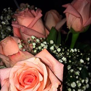 Meet your Posher, Kallie