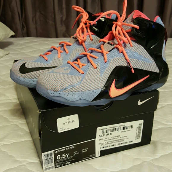 Nike LeBrons