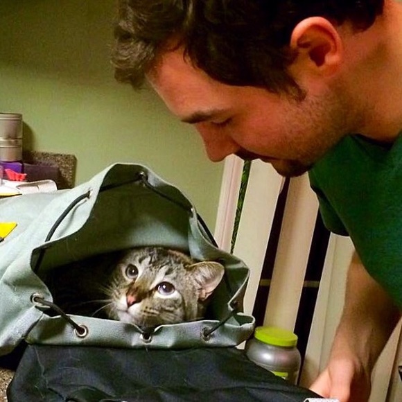 LEO IS RAWRRRRR ING FOR AN OFFER ~ MAKE OFFER - Picture 4 of 4