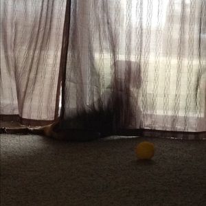 Meet your Posher, Crystal