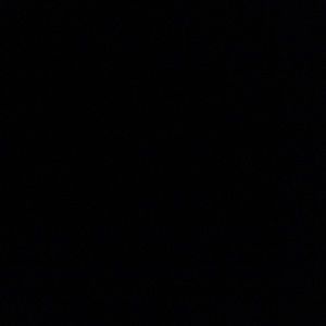 Meet your Posher, Madi