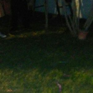 Meet your Posher, Tina40