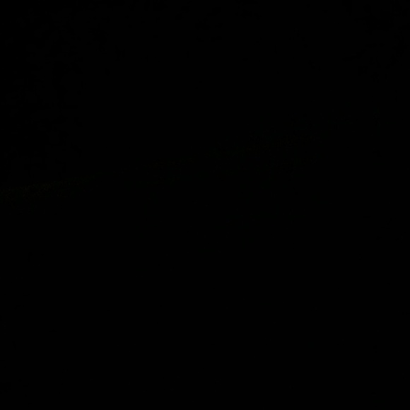 Meet your Posher, Joel - Picture 1 of 1