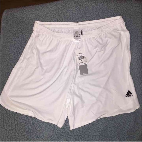 Women's shorts