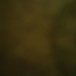 Meet your Posher, Rosa