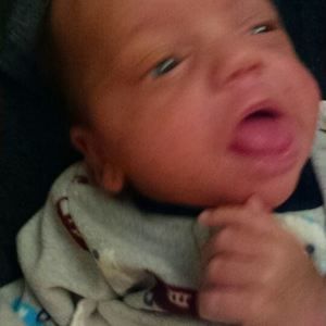 Meet your Posher, Bobbie