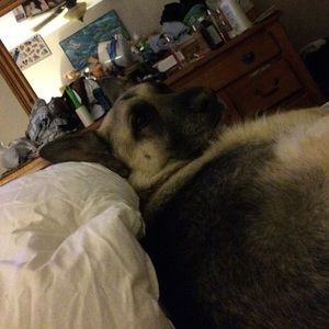 Meet your Posher, Mindy