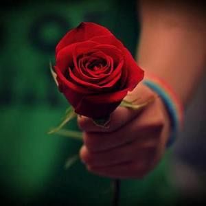 Meet your Posher, Alan