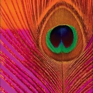 Meet your Posher, Angie